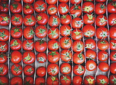 tomatos are among the fresh produce you can enjoy at acre